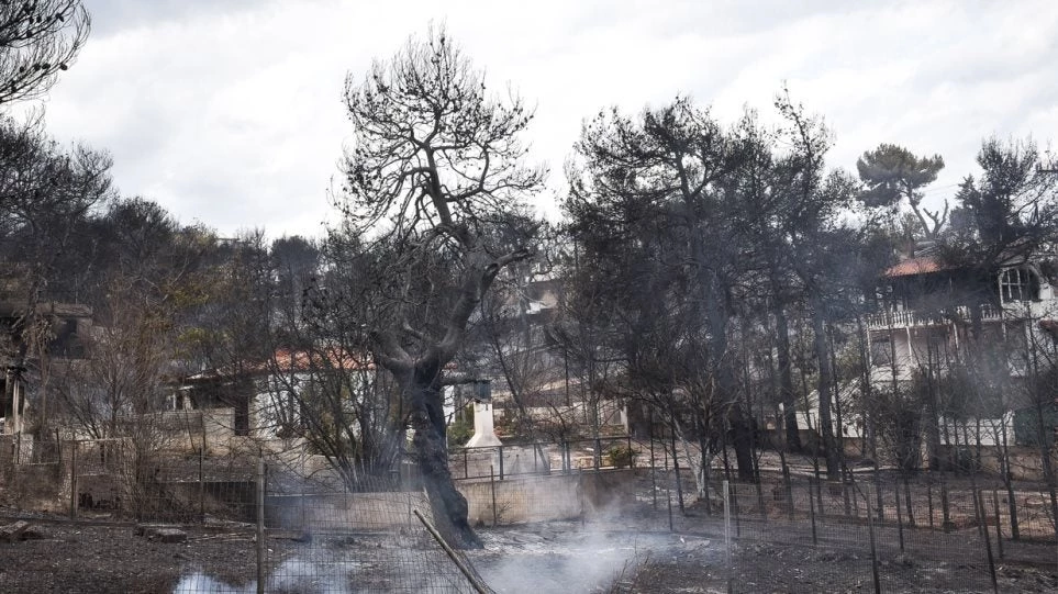 Δήμαρχος Ραφήνας: Υπήρχε σχέδιο εκκένωσης για το Μάτι αλλά κανείς δεν έδωσε εντολή ενεργοποίησης